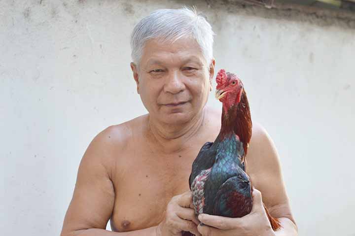 Resep Latihan Yang Baik Untuk Ayam Bangkok Di Pagi Hari